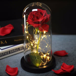 Beauty And Beast Rose In Flask Led Rose Flower Light Black Base Glass Dome