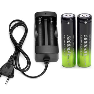 2 pcs 5800mAh rechargeable li-ion battery + one charger